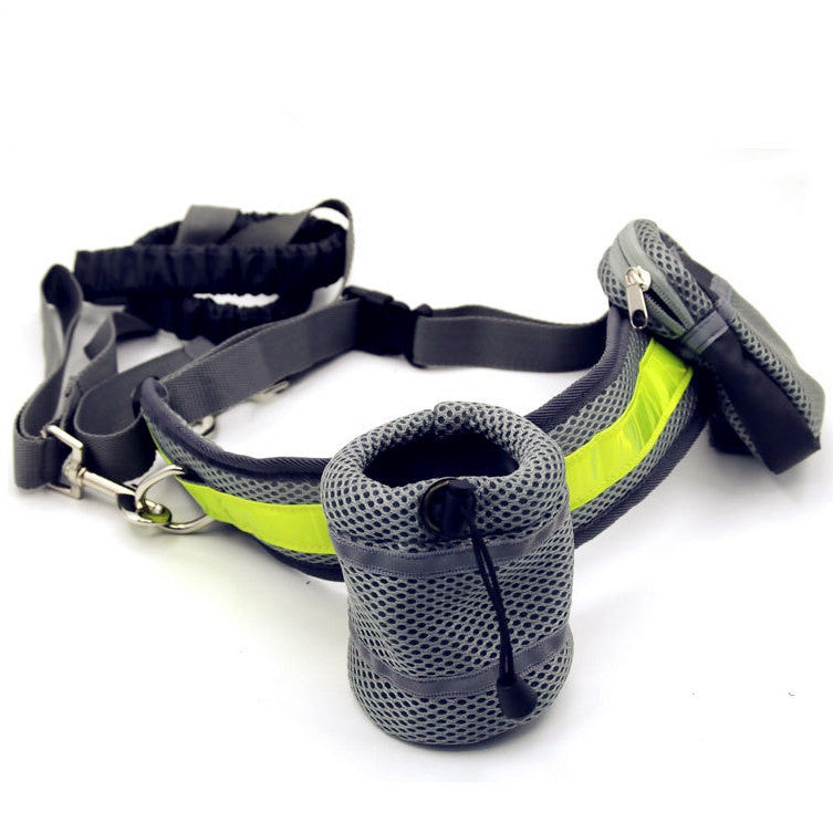 Laisse Mains Libres Ajustable pour Chien – Running & Promenade