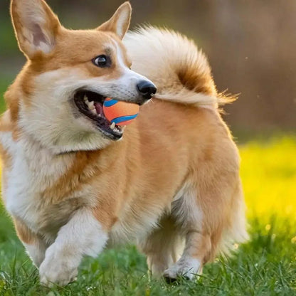 Balle de Jeu pour Chiens – Jouet Interactif, Résistant & Sautant