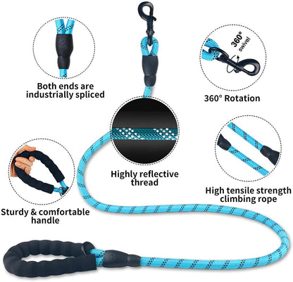 Laisse Lumineuse pour Chiens – Réfléchissante & Durable