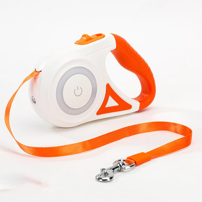 Laisse Rétractable avec Collier Lumineux – Pour Chien