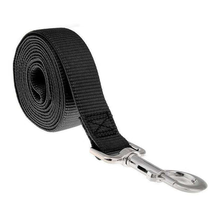 Laisse Longue pour Chien – Anti-Traction, Résistante & Confortable