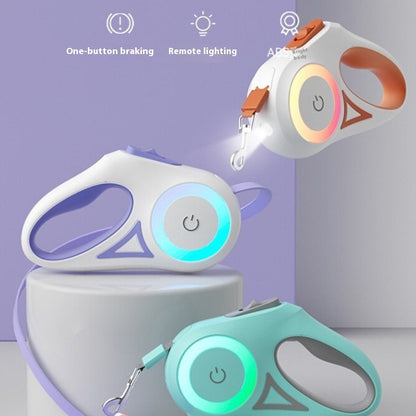 Laisse Rétractable avec Collier Lumineux – Pour Chien