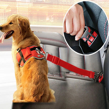 Ceinture de Sécurité pour Chien – Clip Universel & Anti‑Traction