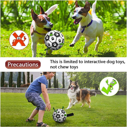Ballon de Football Interactif pour Chiens – Jouet d’Entraînement Résistant