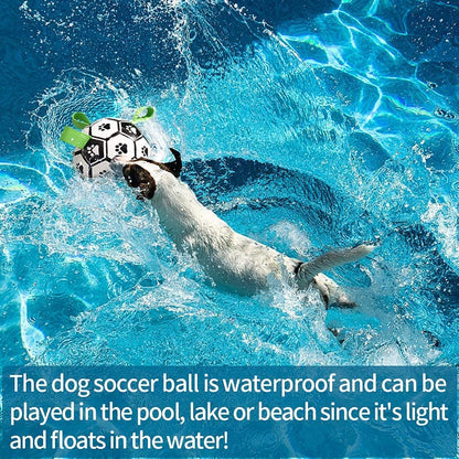 Ballon de Football Interactif pour Chiens – Jouet d’Entraînement Résistant