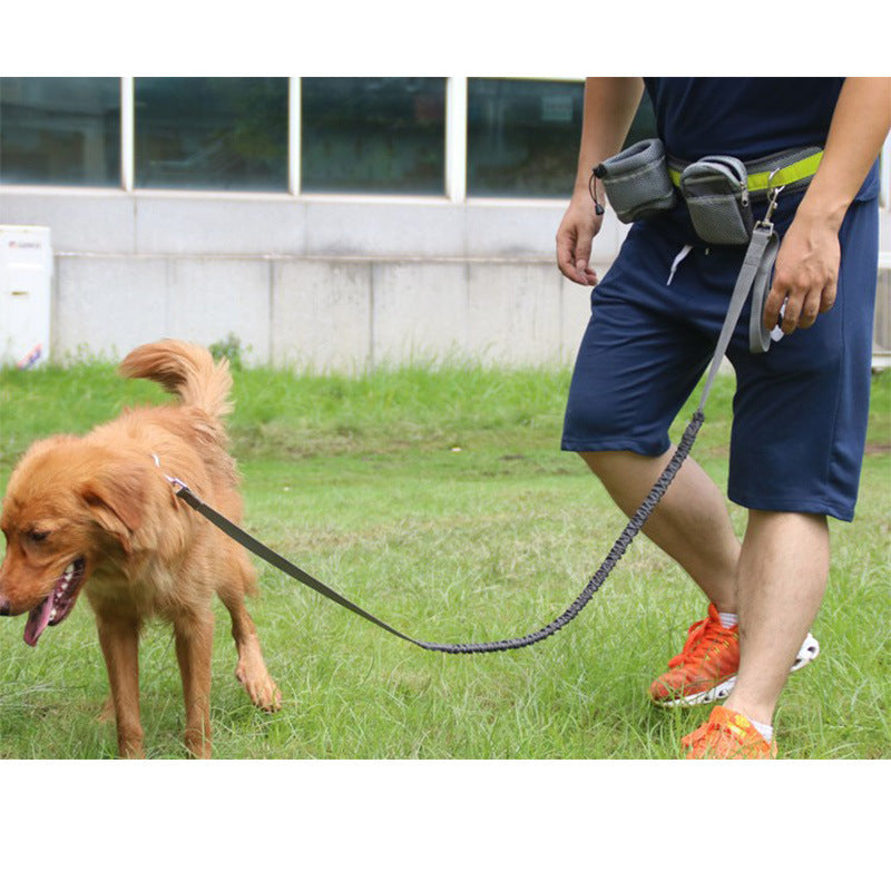 Laisse Mains Libres Ajustable pour Chien – Running & Promenade