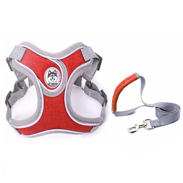 collier pour chien couleur wine red en nylon réglable