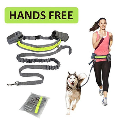 Laisse Mains Libres Ajustable pour Chien – Running & Promenade