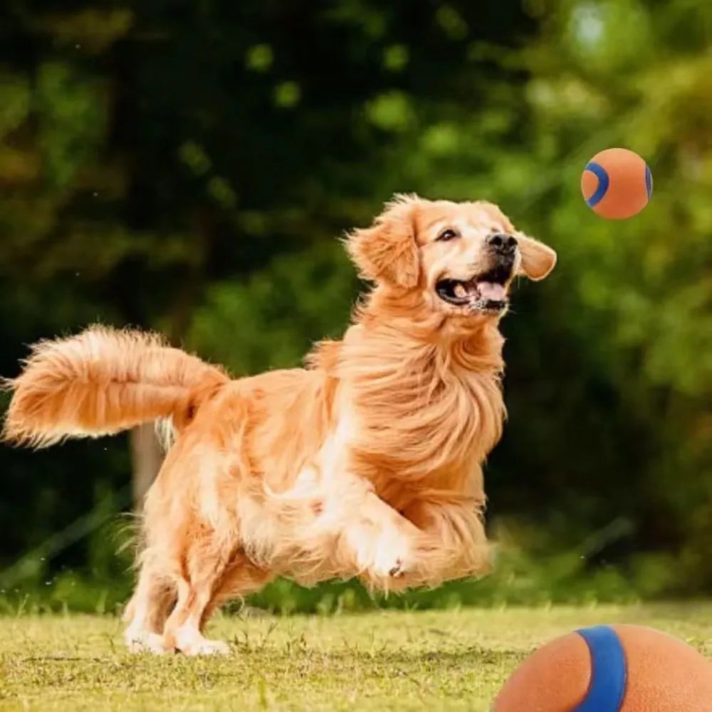 Balle de Jeu pour Chiens – Jouet Interactif, Résistant & Sautant