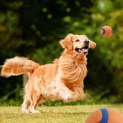 Balle de Jeu pour Chiens – Jouet Interactif, Résistant & Sautant