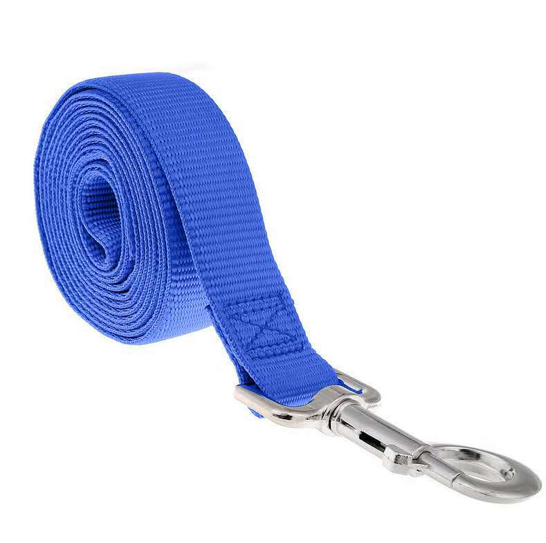 Laisse Longue pour Chien – Anti-Traction, Résistante & Confortable