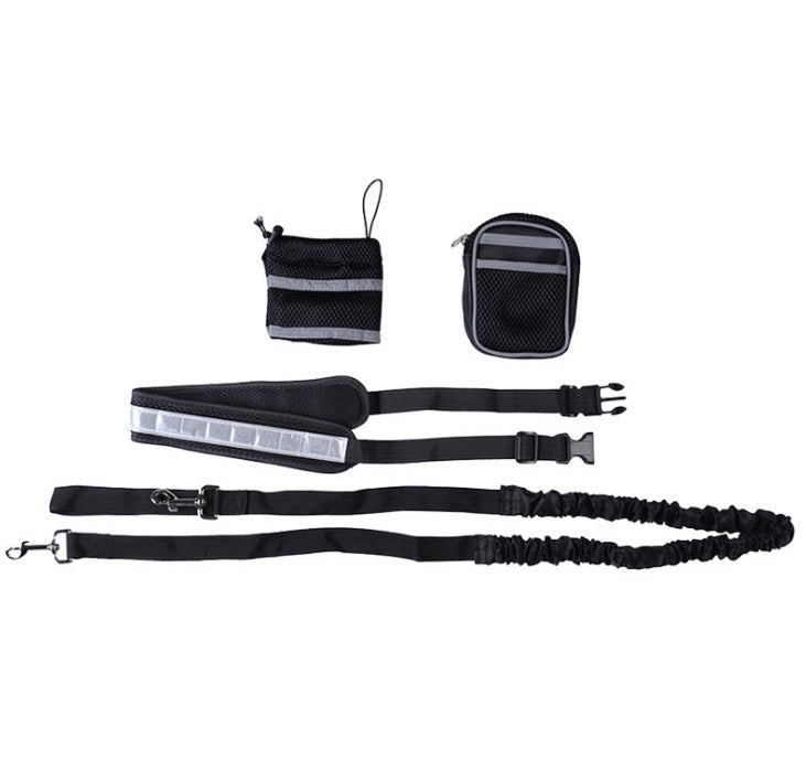 Laisse Mains Libres Ajustable pour Chien – Running & Promenade