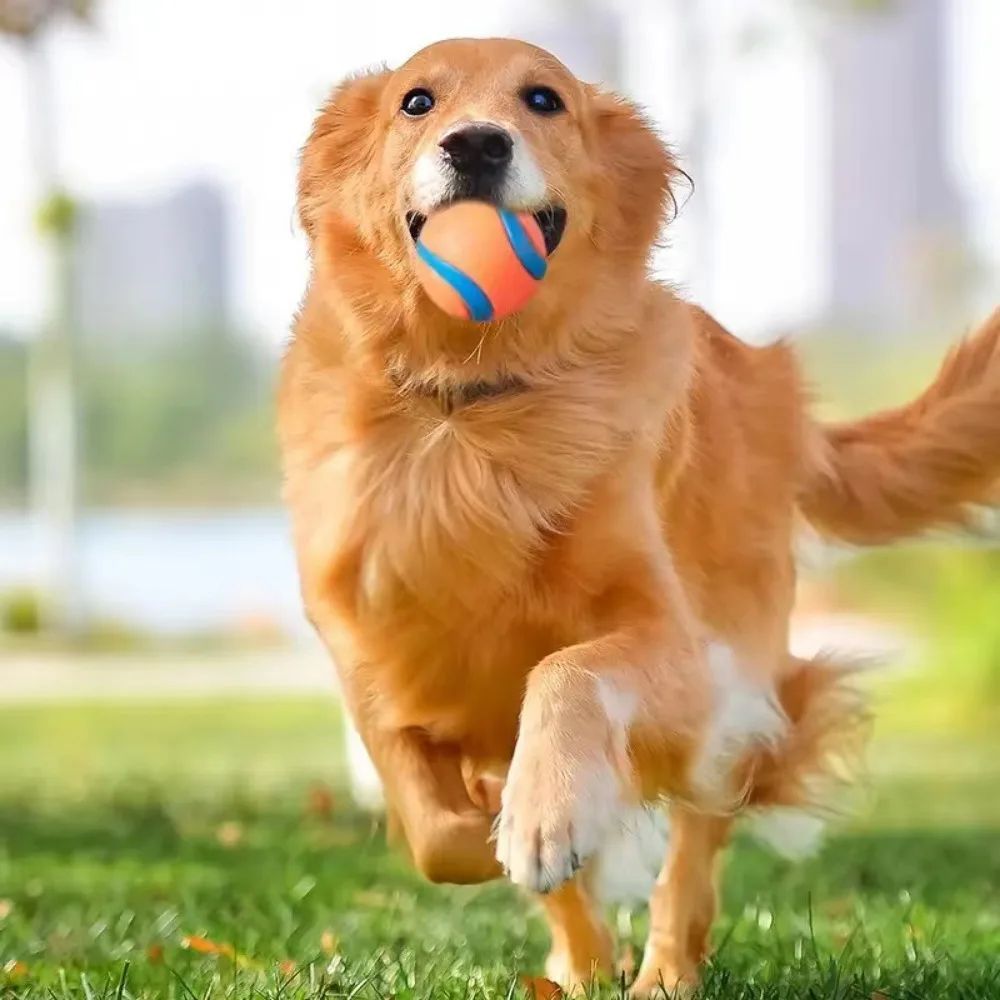 Balle de Jeu pour Chiens – Jouet Interactif, Résistant & Sautant