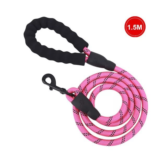 Laisse Lumineuse pour Chiens – Réfléchissante & Durable