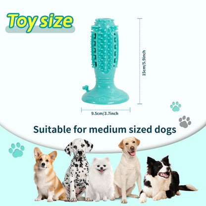 Lot de 4 Balles Interactives pour Chiens – Squeaky, Anti‑Morsure & Nettoyage des Dents