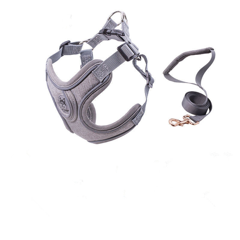 collier pour chien couleur grey en nylon réglable
