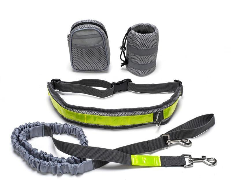 Laisse Mains Libres Ajustable pour Chien – Running & Promenade