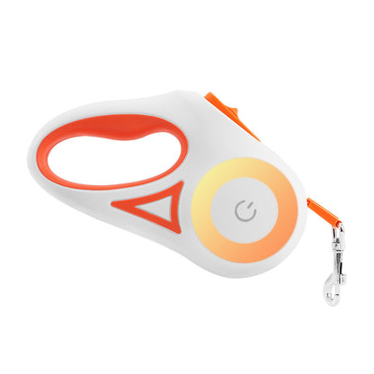 Laisse Rétractable avec Collier Lumineux – Pour Chien