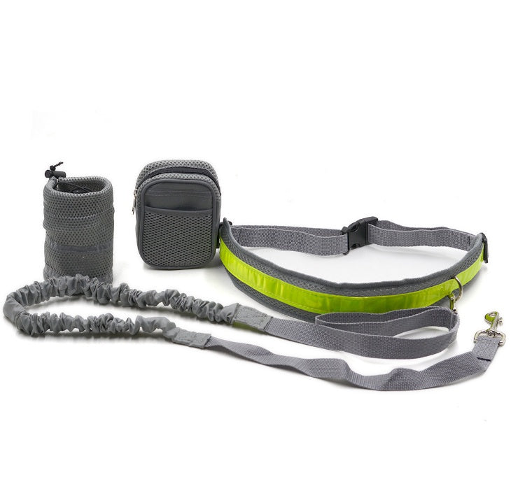 Laisse Mains Libres Ajustable pour Chien – Running & Promenade