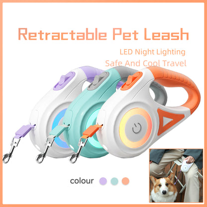 Laisse Rétractable avec Collier Lumineux – Pour Chien