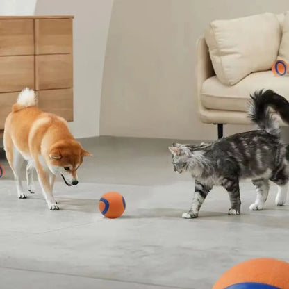 Balle de Jeu pour Chiens – Jouet Interactif, Résistant & Sautant