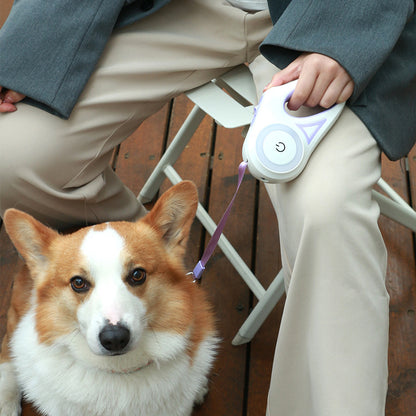 Laisse Rétractable avec Collier Lumineux – Pour Chien