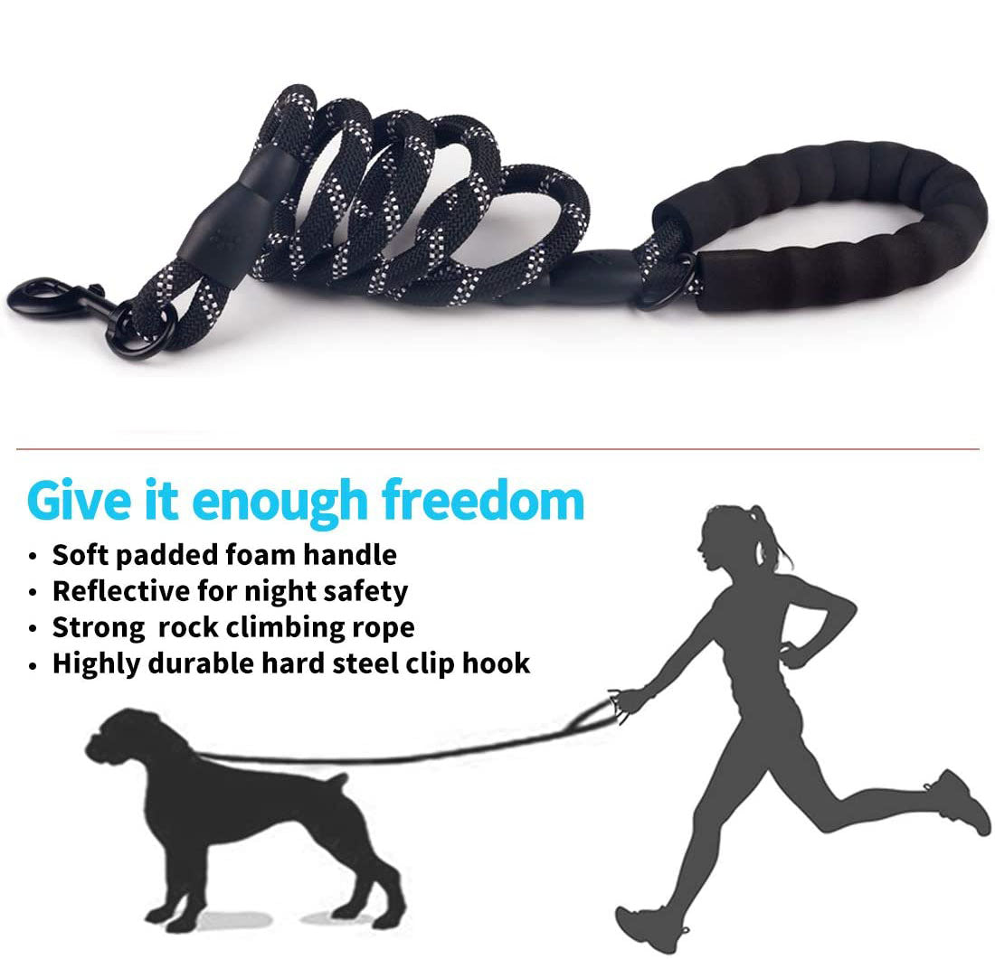 Laisse Lumineuse pour Chiens – Réfléchissante & Durable