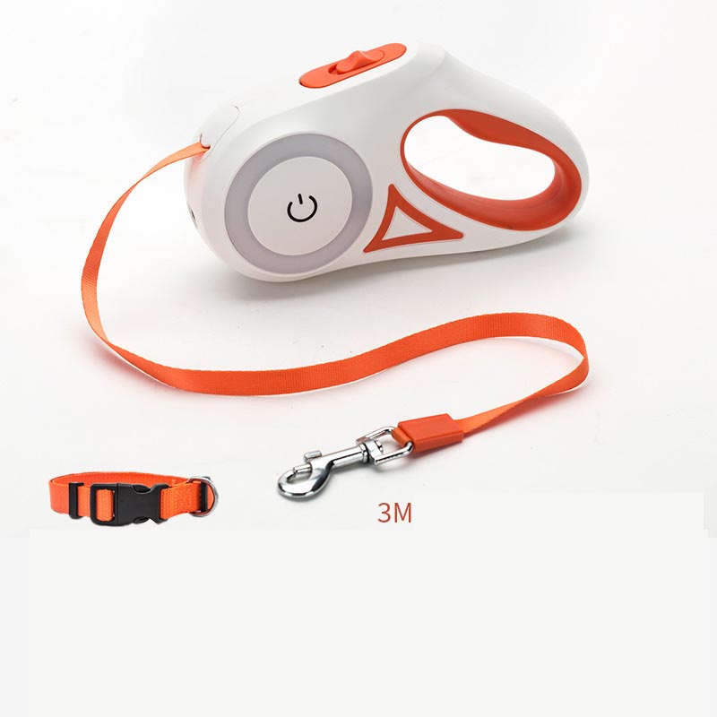 Laisse Rétractable avec Collier Lumineux – Pour Chien