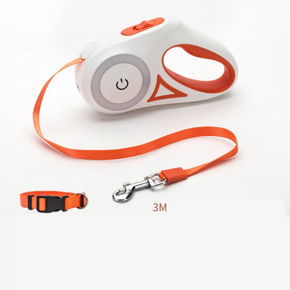 Laisse Rétractable avec Collier Lumineux – Pour Chien