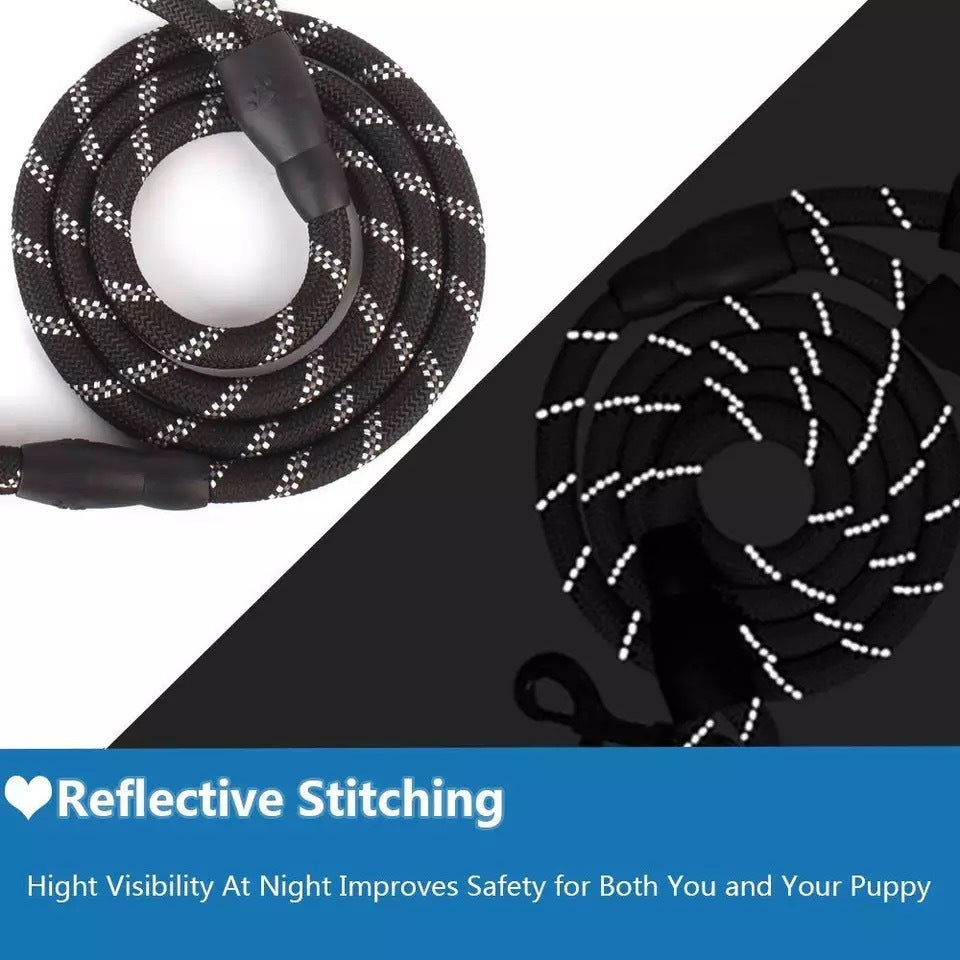 Laisse Lumineuse pour Chiens – Réfléchissante & Durable