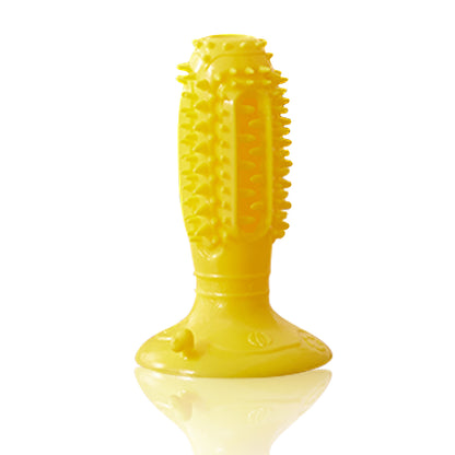 Lot de 4 Balles Interactives pour Chiens – Squeaky, Anti‑Morsure & Nettoyage des Dents