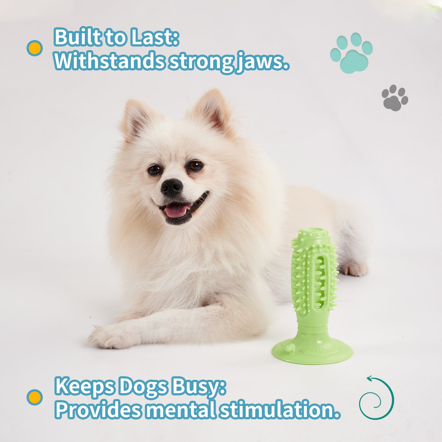 Lot de 4 Balles Interactives pour Chiens – Squeaky, Anti‑Morsure & Nettoyage des Dents