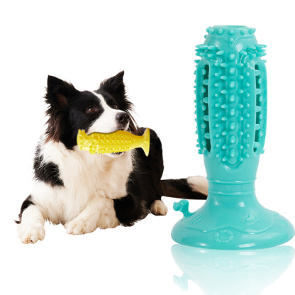Lot de 4 Balles Interactives pour Chiens – Squeaky, Anti‑Morsure & Nettoyage des Dents
