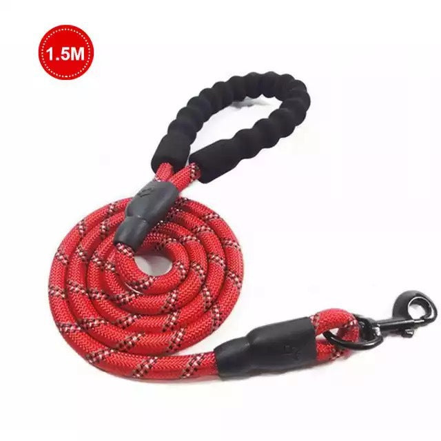 Laisse Lumineuse pour Chiens – Réfléchissante & Durable