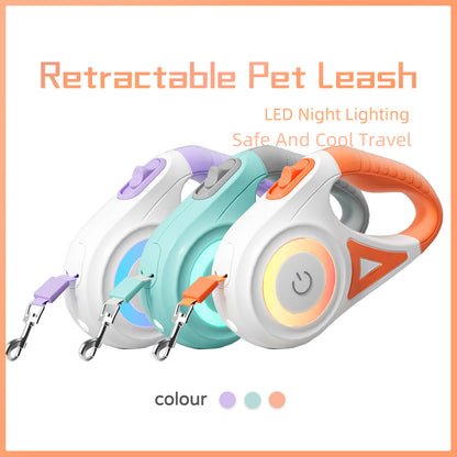 Laisse Rétractable avec Collier Lumineux – Pour Chien