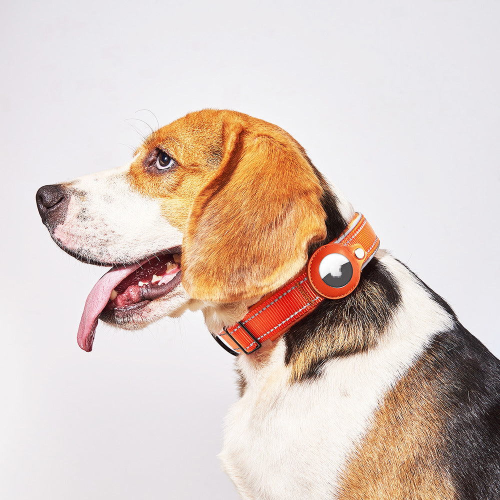 Collier en Cuir pour Chien & Chat avec Étui AirTag – Anti‑Perte & Localisation