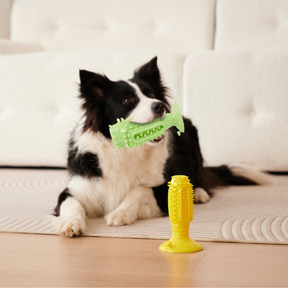 Lot de 4 Balles Interactives pour Chiens – Squeaky, Anti‑Morsure & Nettoyage des Dents