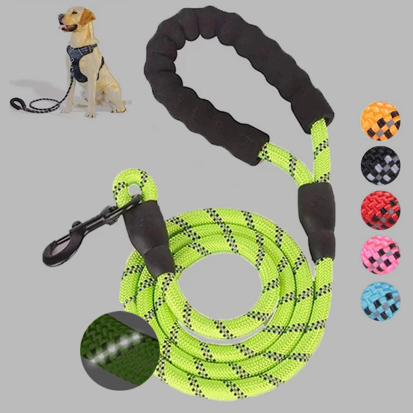 Laisse Lumineuse pour Chiens – Réfléchissante & Durable
