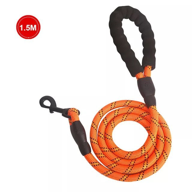 Laisse Lumineuse pour Chiens – Réfléchissante & Durable