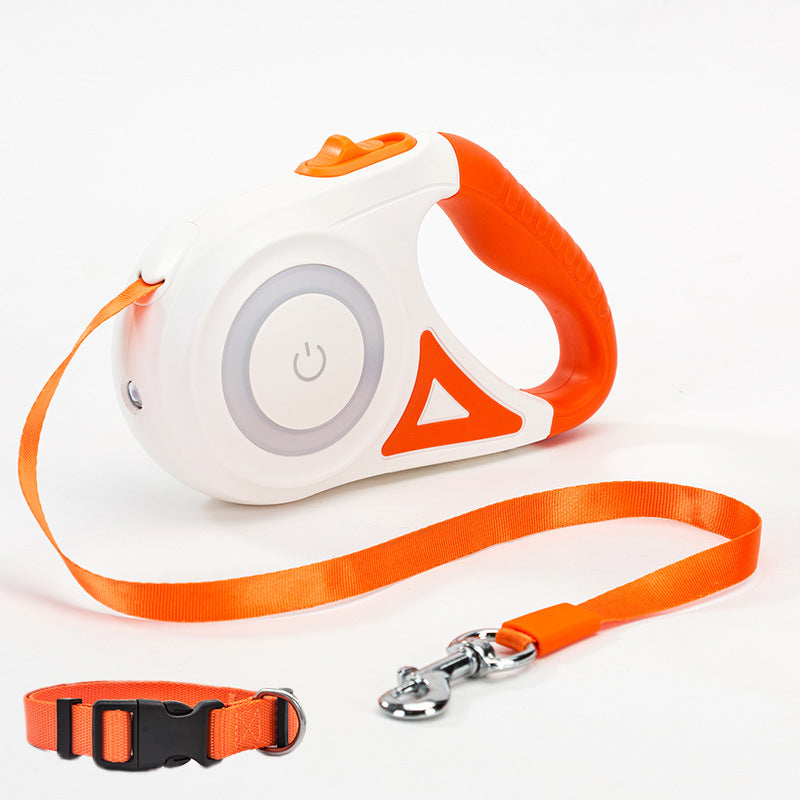 Laisse Rétractable avec Collier Lumineux – Pour Chien