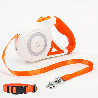 Laisse Rétractable avec Collier Lumineux – Pour Chien