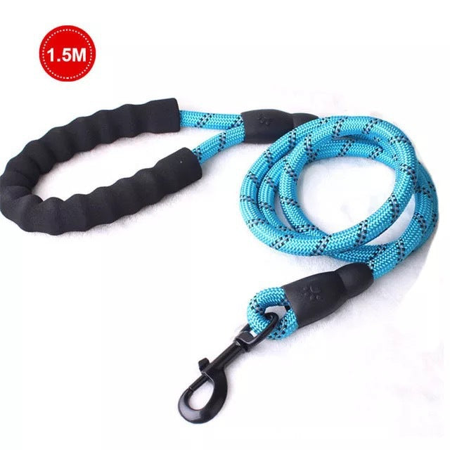 Laisse Lumineuse pour Chiens – Réfléchissante & Durable